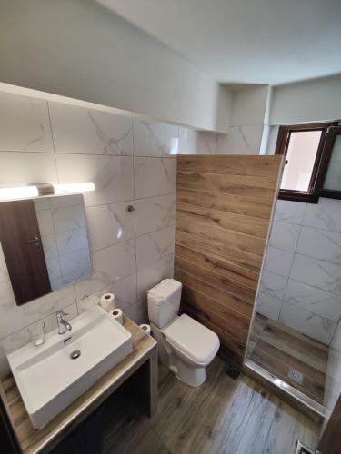 a bathroom with a white sink and a toilet at VILLA CASSIOPEIA in Nikiti