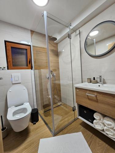 La salle de bains est pourvue d'une douche, de toilettes et d'un lavabo. dans l'établissement Apartman Marin, à Livno