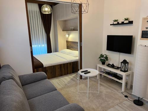 a living room with a couch and a tv and a bed at Apart 31 in Cetinje