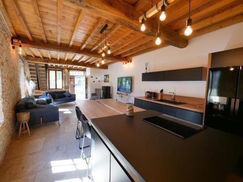 une cuisine avec un comptoir et un salon dans l'établissement Gite de la Source-maison climatisée, à Vénérieu