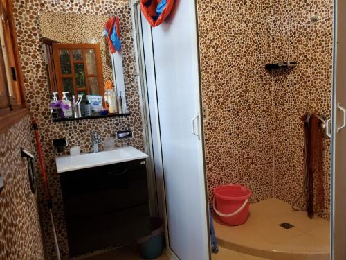 un piccolo bagno con lavandino e doccia di Apartement en 1er etage et autre 2eme avec terasse location longue duré a Essaouira