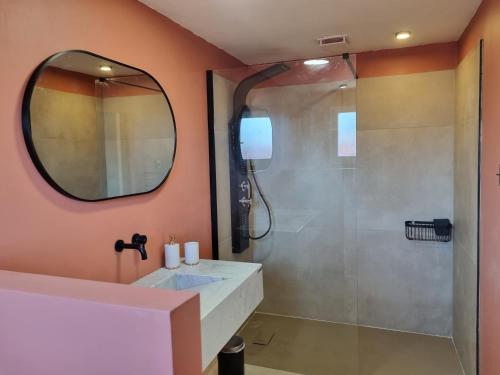ein Bad mit einer Dusche, einem Waschbecken und einem Spiegel in der Unterkunft villa avec studio indépendant et piscine in Jonquières
