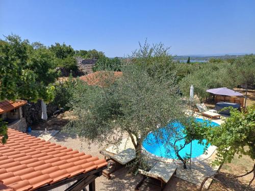 La alberca dentro o cerca de Holiday House Pulina
