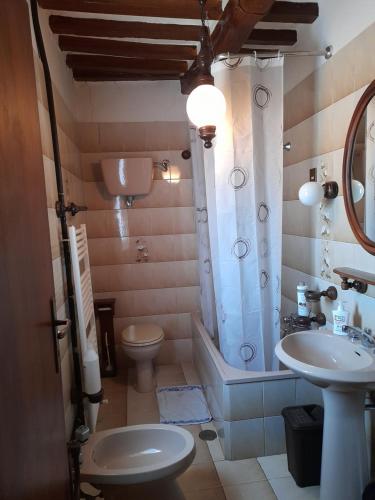a bathroom with a sink and a toilet and a shower at Il Casale degli Artisti in Ravigliano
