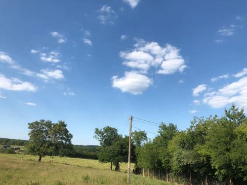 un campo con árboles y un cielo azul con nubes en The Shepherd’s Hut, en Whiteparish