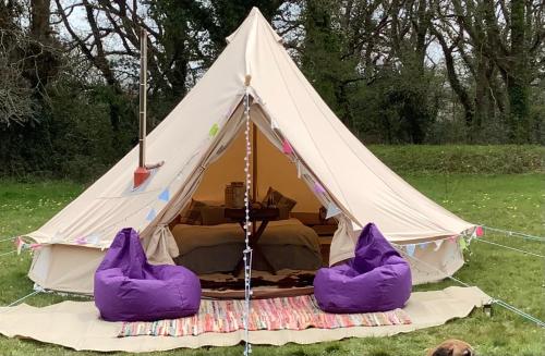 a tent with purple cushions in a field at West Holme Glamping in Wareham