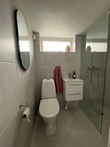 La salle de bains est pourvue de toilettes, d'un lavabo et d'un miroir. dans l'établissement Boende nära centrum och natur, à Göteborg