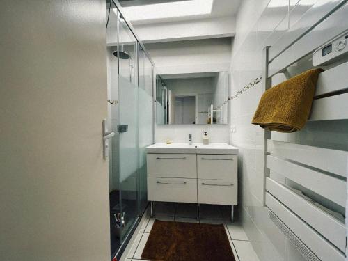 une salle de bain avec un lavabo et une douche avec un miroir dans l'établissement Lovely duplex - 50m fr. the sea, à Lacanau-Océan