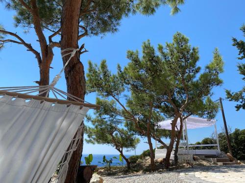 a hammock on the beach with trees at Kallithea Residence in Koskinou