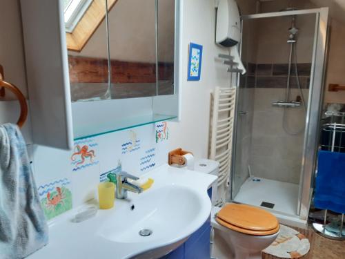een badkamer met een wastafel, een toilet en een douche bij Le petit chemin in Bougival