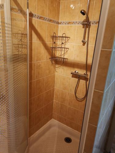 una doccia con porta in vetro in bagno di Chambre d'hôte dans une maison avec parking privée a Saint-Étienne