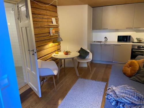 Nhà bếp/bếp nhỏ tại Garden annex in central Oslo