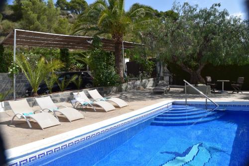 a swimming pool with lounge chairs next to a swimming pool at Casa Loro Loco B&B in Pedralba