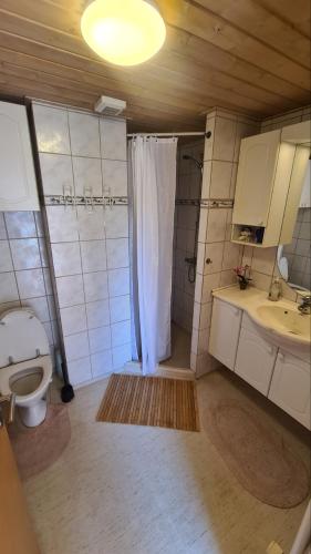 a bathroom with a toilet and a shower and a sink at Villagehome North Jylland in Sindal