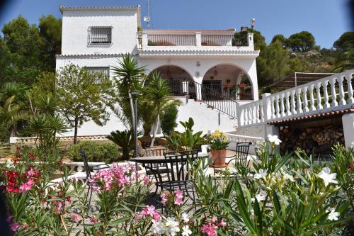 Κήπος έξω από το Casa Loro Loco B&B