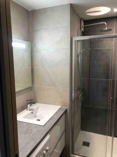 une salle de bain avec un lavabo et une douche dans l'établissement 3 pièces, 6 personnes, à Chamrousse