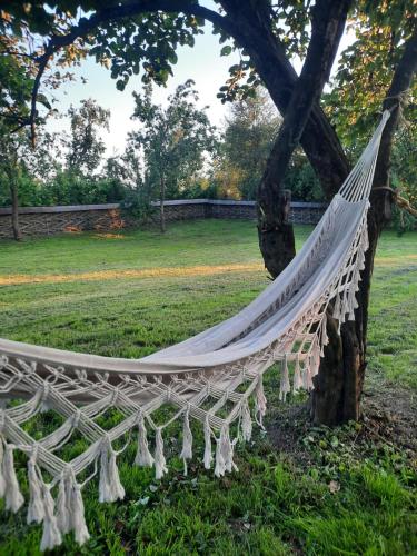 a hammock hanging from a tree in a park at Acul în carul cu fan in Pădurenii