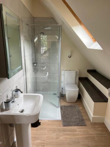 a bathroom with a sink and a shower and a toilet at The Loft, Steep, Petersfield in Collyers Estate part of The South Downs National Park. in Petersfield