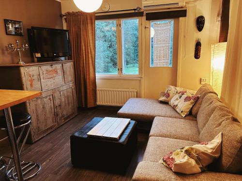 ein Wohnzimmer mit einem Sofa und einem TV in der Unterkunft Small Apartment, Tahko, Sauna, Shower, WiFI, PetsOK, Budget, Wanha koulu Tahkovuori in Reittiö