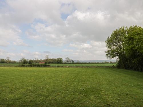 a field of green grass with a tree in the middle at Alstroemeria in Evesham