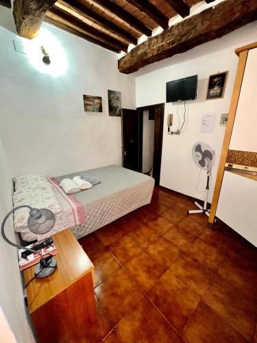 TV a/nebo společenská místnost v ubytování Centro mini monolocale