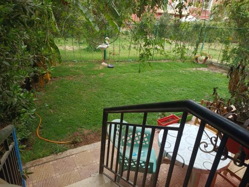 a bird standing in a yard with a fence at Hotel apartment in Sheikh Zayed City in Sheikh Zayed