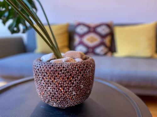 a vase on a table with a plant in it at Casa Elegancia, Pleta de Saga in Ger