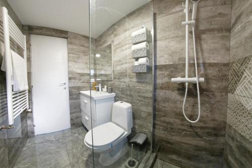 a bathroom with a toilet and a shower at Studio Casa Mia in Câmpulung Moldovenesc