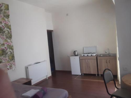 a room with a kitchen with a sink and a stove at Guest House Buche on Agmashenebeli 219 in K'obulet'i