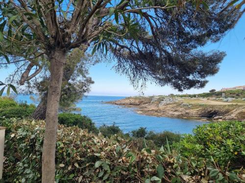 LA CALANQUE 263 – Photos 2