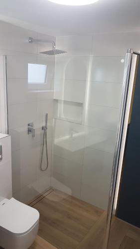 a bathroom with a toilet and a glass shower at Centuria Domek Letniskowy in Władysławowo