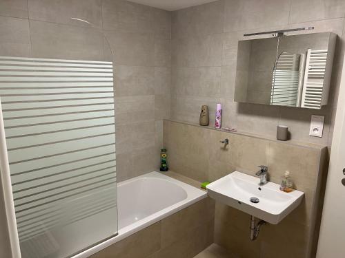 a bathroom with a tub and a sink and a shower at Beautiful 2 Bedroom Apartment in Prostějov
