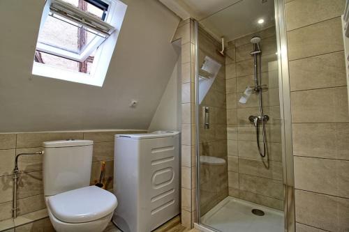 ein Bad mit einem WC und einer Dusche in der Unterkunft Logement CHEZ ANTHONE - Proche Obernai, logement pour 1 à 5 personnes in Bernardswiller