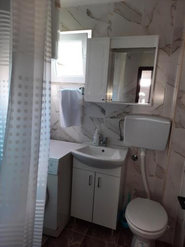 ein Badezimmer mit einem Waschbecken, einem WC und einem Spiegel in der Unterkunft Apartman Petković in Višegrad