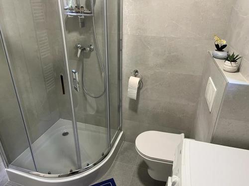 a bathroom with a shower and a toilet at Sabina Apartaments in Sfântu-Gheorghe