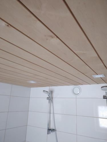 a ceiling in a bathroom with a shower at Jöekalda Accommodation in Pulli