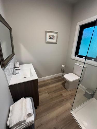 a bathroom with a sink and a toilet and a window at Knockreagh Farm Cottages Mountain or Cedar views in Kilkenny