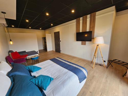 a bedroom with a large bed and a tv at Aérogites Chambley in Dommartin-la-Chapelle