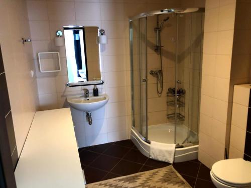 a bathroom with a shower and a sink and a toilet at Pensjonat pod Samowarem in Tylicz