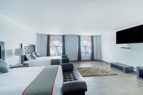 Collection O Hotel Nueva Escocia, Puebla في بوبلا: غرفة كبيرة بها سرير وتلفزيون بشاشة مسطحة