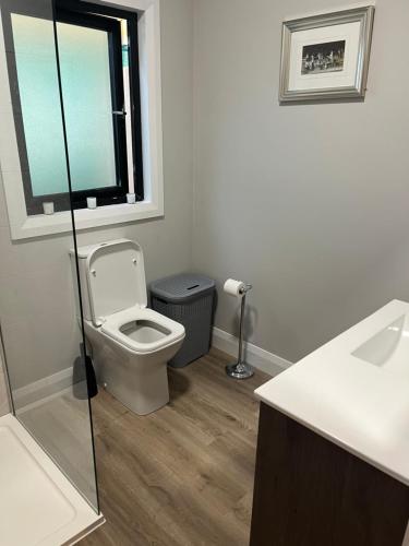 a bathroom with a toilet and a sink and a window at Knockreagh Farm Cottages Mountain or Cedar views in Kilkenny