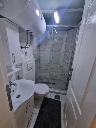 a bathroom with a shower and a toilet and a sink at Etno Zvuk Tisine Djukic in Valjevo