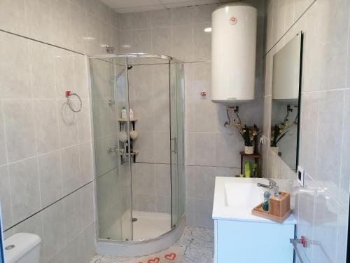 La salle de bains est pourvue d'une douche en verre et d'un lavabo. dans l'établissement VILLA ROBLES, à Santisteban del Puerto