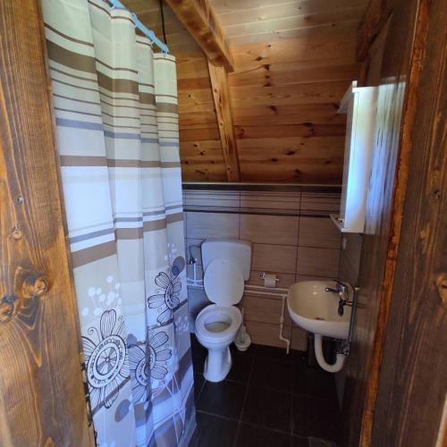 małą łazienkę z toaletą i umywalką w obiekcie Wooden cottage Podgora w mieście Žabljak