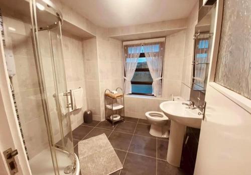 a bathroom with a shower and a toilet and a sink at Reelin bar holiday Accommodation in Cloghan
