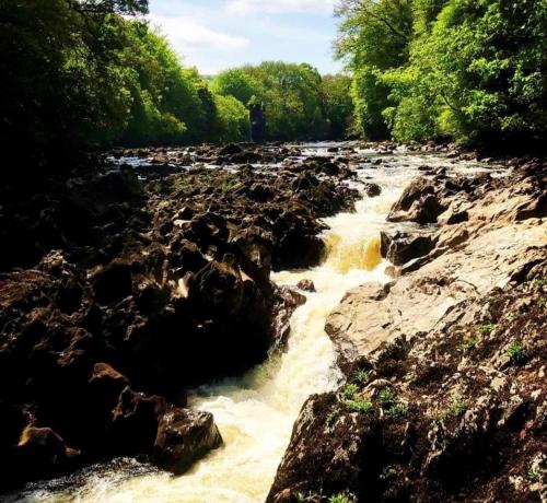 a river with rocks and trees in the background at Reelin Bar Holiday Accommodation in Cloghan