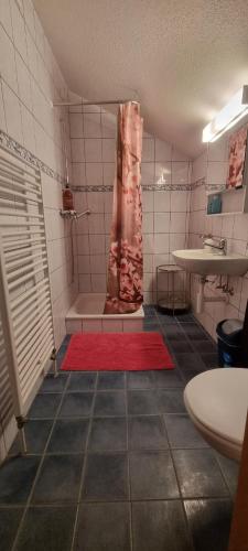 a bathroom with a shower and a red rug at Chambre d'Hôtes R&S in Bemont