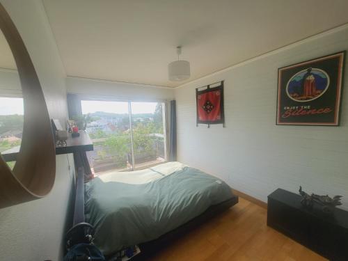 1 dormitorio con 1 cama en una habitación con ventana en Homestay - Large Room in a Spacious Apartment with Stunning Rooftop Terrace en Châtenay-Malabry