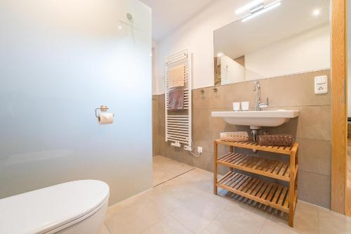 een badkamer met een wastafel, een toilet en een spiegel bij Alpenhaus Thurnher in Gaschurn