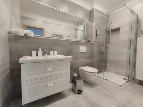 La salle de bains est pourvue d'une douche, d'un lavabo et de toilettes. dans l'établissement Apartmány Goliáš, à Krásná Lípa
